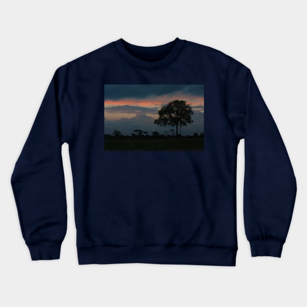African Tree and Dramatic Night Sky Crewneck Sweatshirt by KarenZukArt